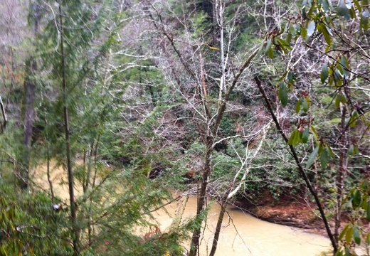 Swift Camp Creek Trail - 3